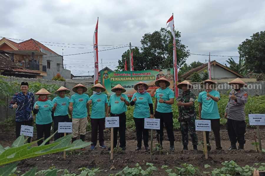 Cegah Inflasi Daerah, Wali Kota Blitar Kampanyekan Tanam Ubi Jalar