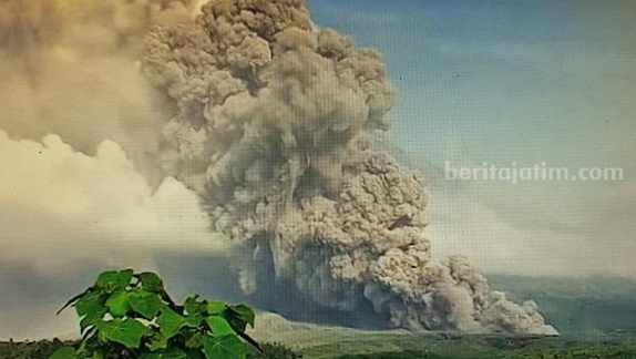 Erupsi Gunung Semeru, 1.979 Warga Lumajang Mengungsi