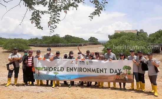 Peduli Lingkungan, HCML Tanam Mangrove dan Tanaman Produktif di Tiga Kota