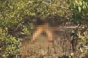 Warga Sampang Geger Temukan Mayat di Hutan Mangrove