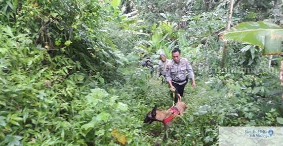Polisi Kerahkan Anjing Pelacak Kejar Pelaku Pembunuhan Wanita Muda di Malang