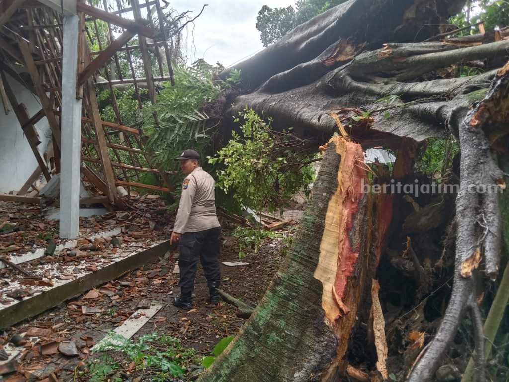 Pendapa Punden Kepuhrejo Takeran Magetan Ambruk Tertimpa Pohon Raksasa