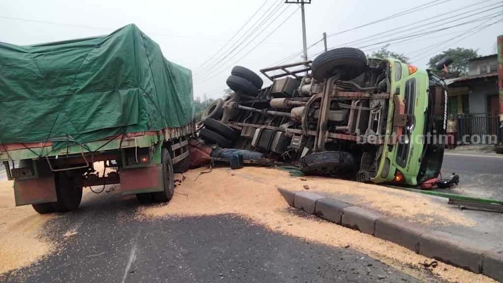 Pecah Ban di Dekat Jembatan Timbang Trowulan Mojokerto, Truk Muatan Jagung Terguling