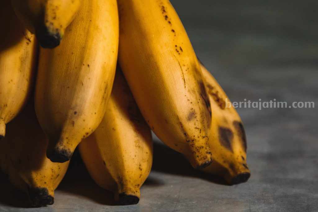 Ilustrasi pisang yang cocok diolah menjadi berbagai macam makanan.