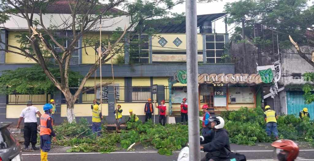 Jatuh Korban, Tim Gabungan Pemkab Jember Pangkas Puluhan Pohon