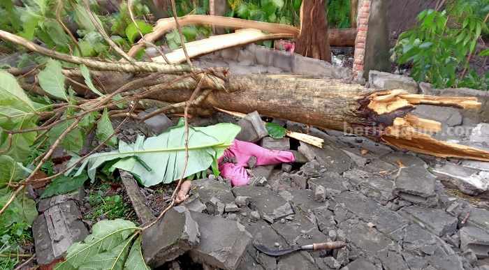 Pencari Pakan Ternak Tewas Tertimpa Tembok Tirta Wisata Jombang