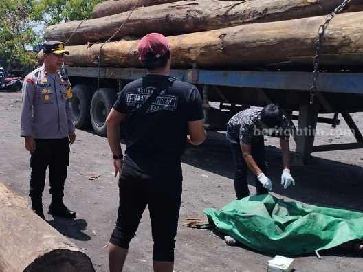 Sopir Truk asal Gresik Tewas Tertimpa Kayu Gelondongan