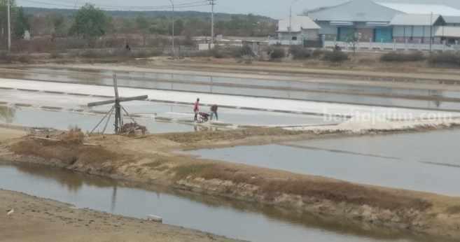Petani Garam di Sampang Butuh Pelabuhan Bongkar Muat garam
