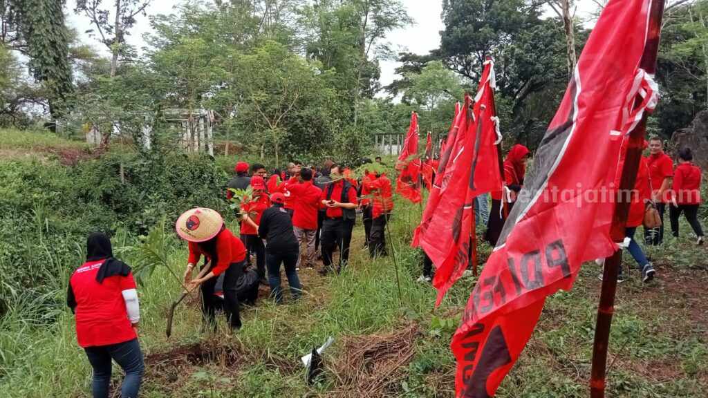 HUT Emas PDIP, Banteng se-Jatim Gelar Aksi Menanam Pohon PDIP Jatim