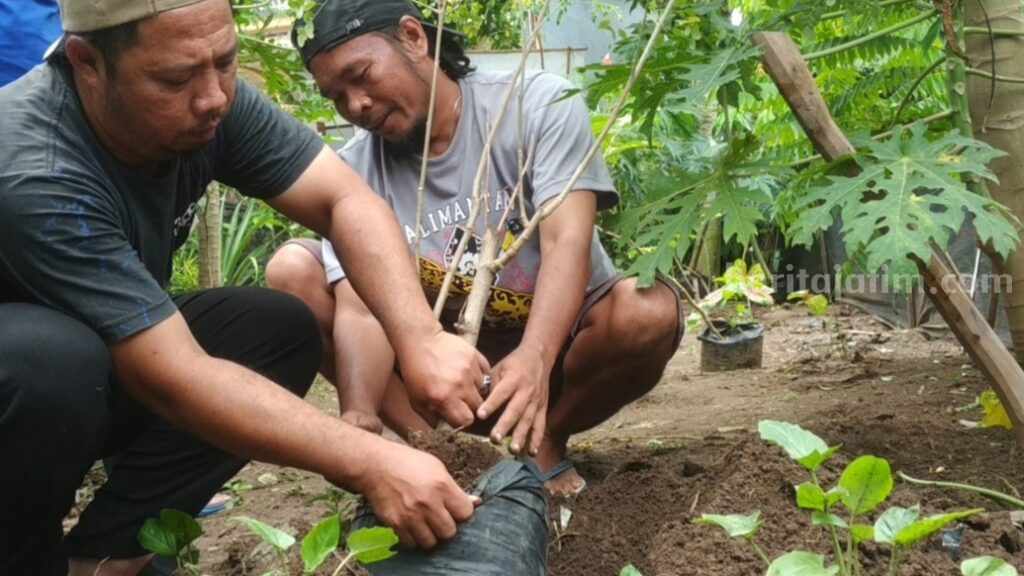 Warga Desa Balongmojo menanam kelor di halaman rumah. [Foto : Misti/beritajatim.com]