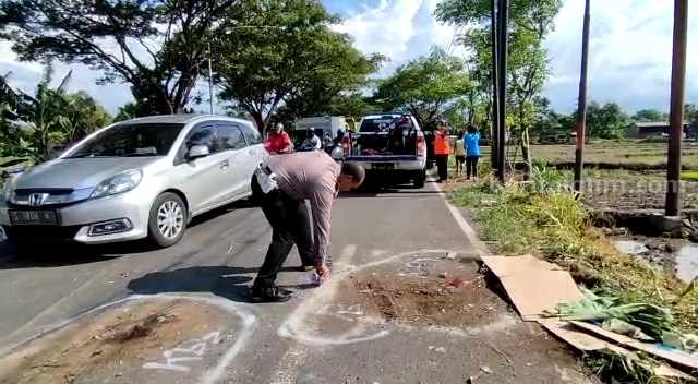 Adu Moncong Motor vs Truk di Mojokerto, Kakak dan Adik Meregang Nyawa adu moncond di mojokerto