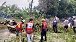 mojokerto