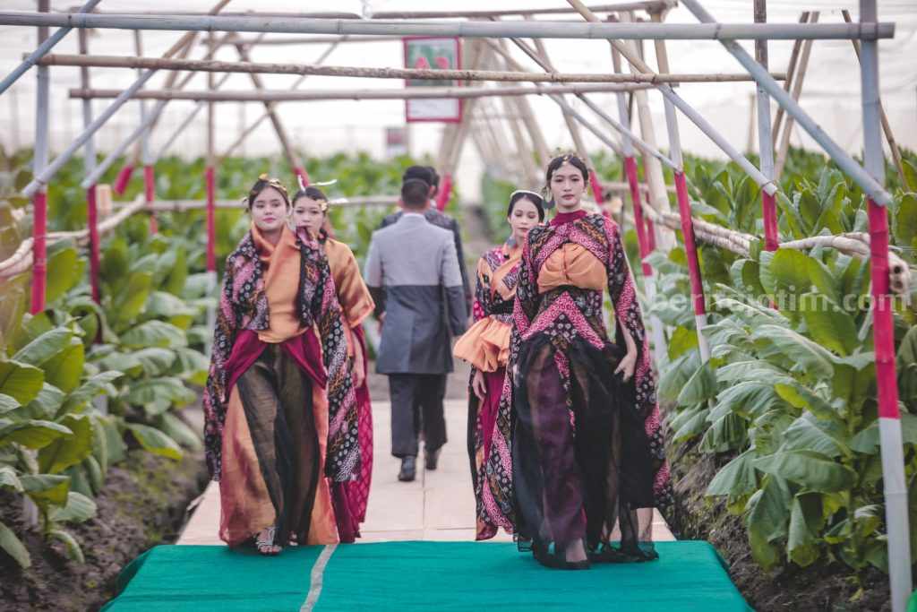 Festival Jember Kota Cerutu Indonesia Belum Masuk Agenda Wisata Tahunan Jatim
