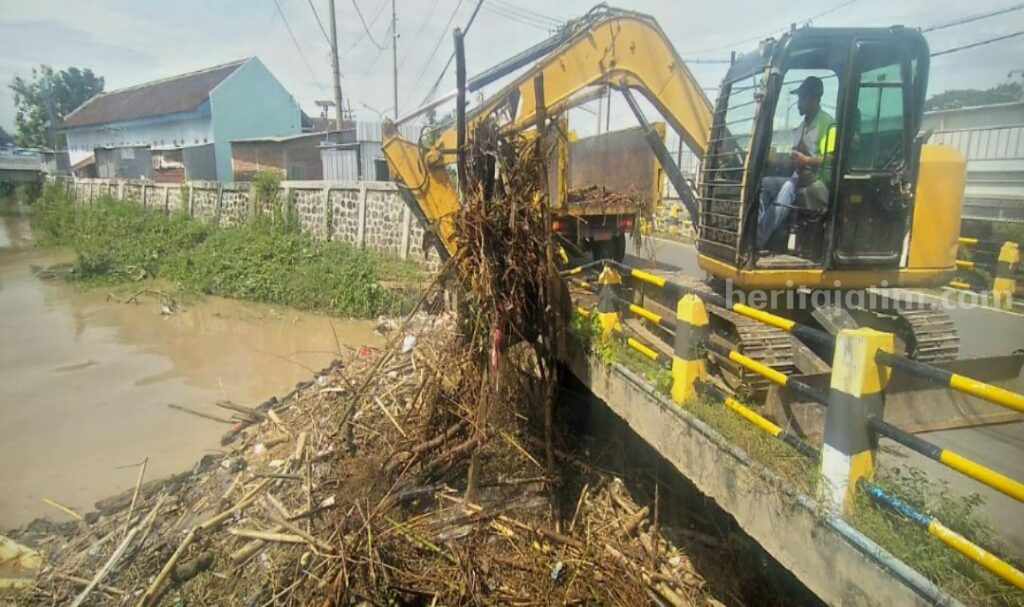 Aliran Sungai Piring Kota Madiun Tersumbat Bambu Tersumbat Bambu