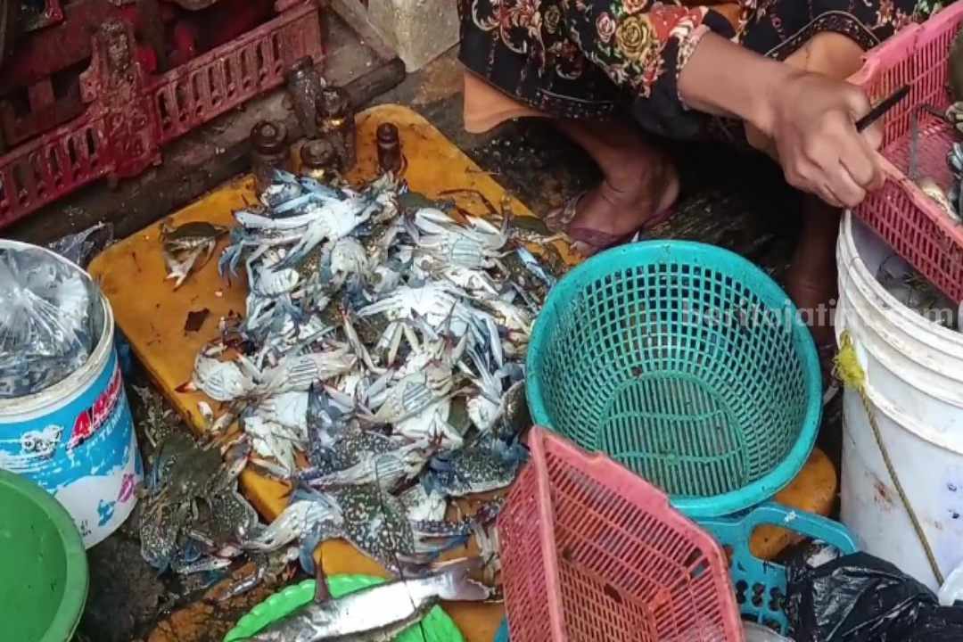 Kepiting Pasuruan
