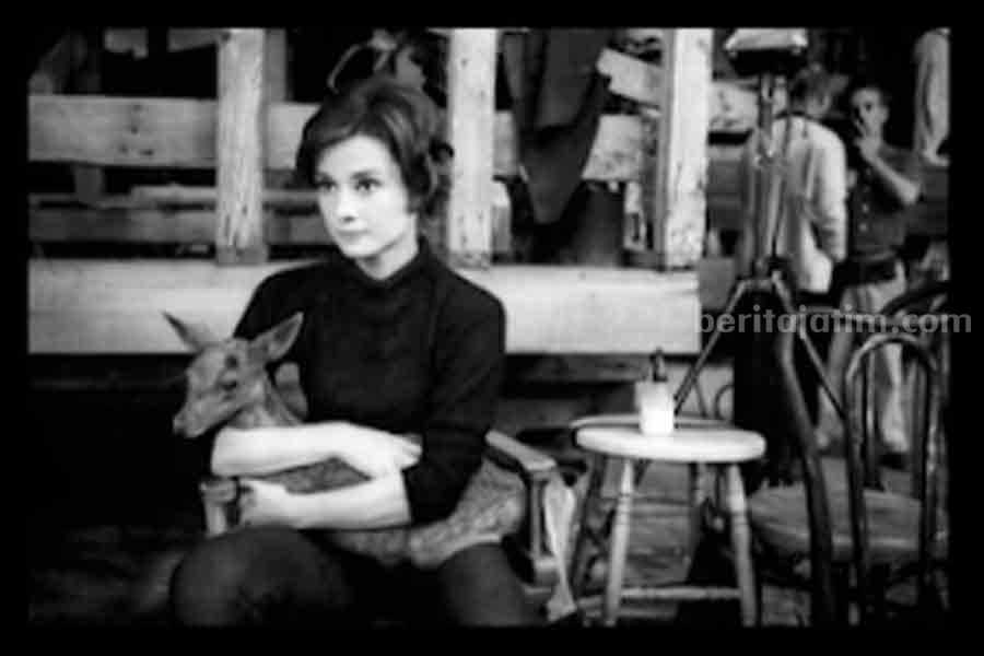 Sosok Audrey Hepburn. (Sumber foto: IMDb.com)