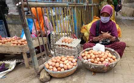 Di Sumenep, Harga Telur Ayam Ras Berangsur Turun sumenep