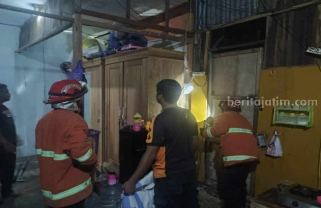Ular Piton Pasuruan
