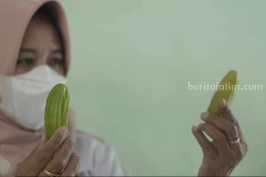 belimbing wuluh