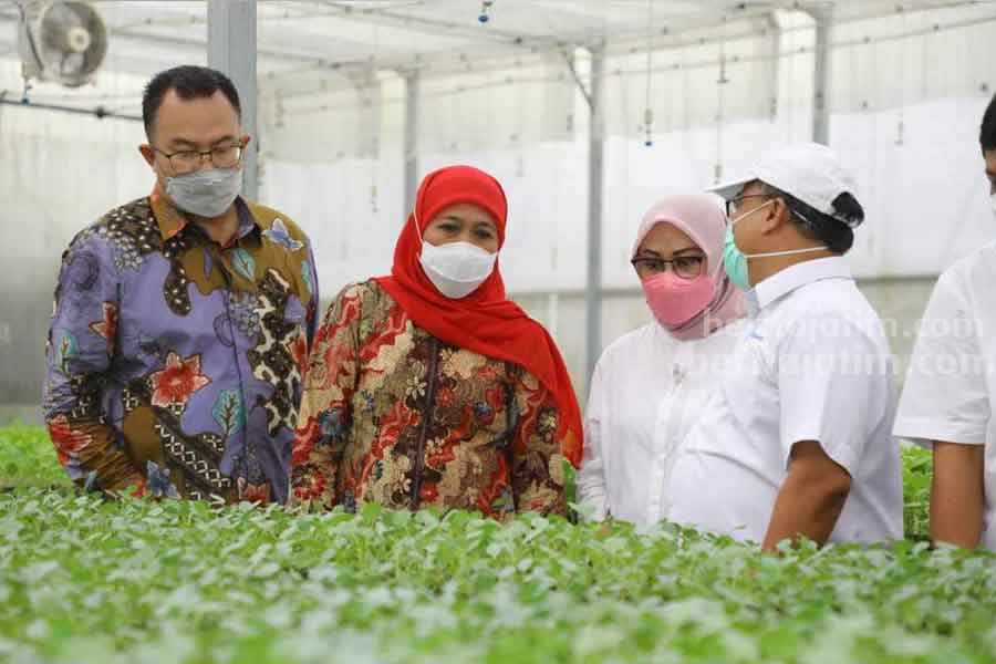 Arif Satria Kembali Jadi Rektor IPB, Ini Harapan Gubernur Khofifah