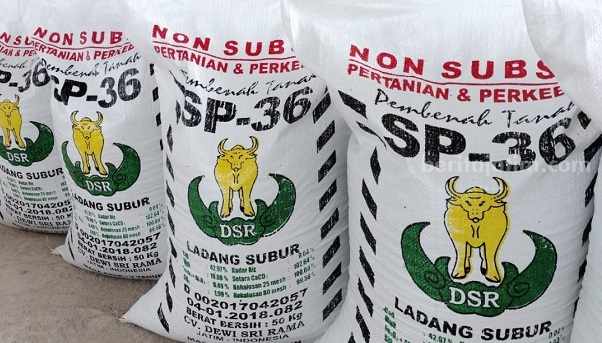 Jatah Pupuk Subsidi di Bangkalan Meningkat, Dewan Minta Masyarakat Ikut Mengawasi pupuk