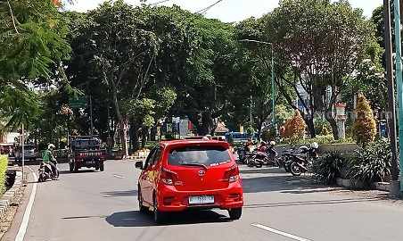 Lahan RTH di Kabupaten Gresik Masih Minim rth