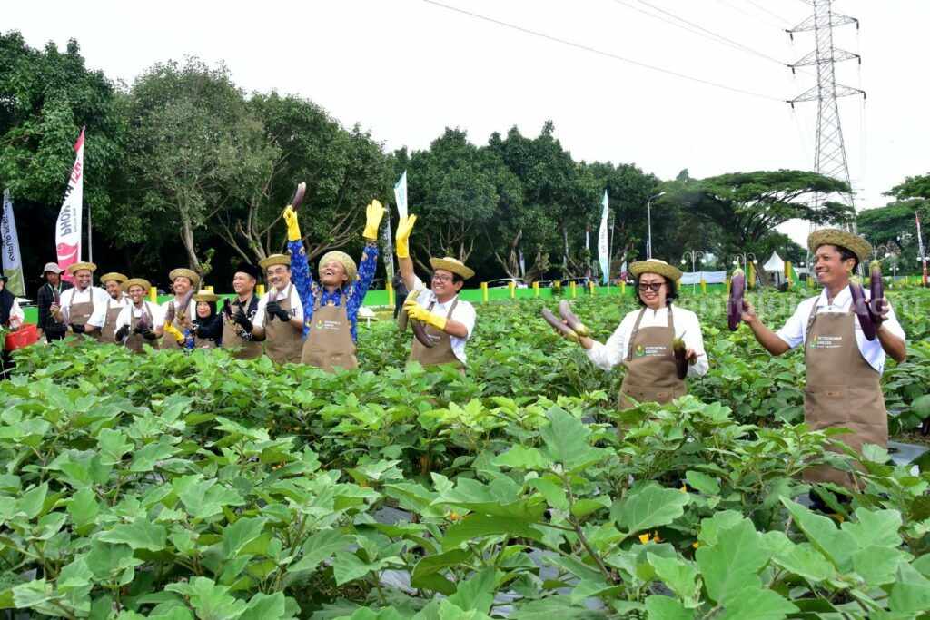 Panen sayur di lahan makam Moslem Memorial Park (MMP) yang dikelola Petrokimia Gresik.