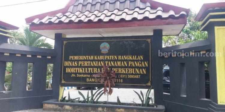Harga Beras di Bangkalan Naik, Dispertapahorbun Bilang Stabil