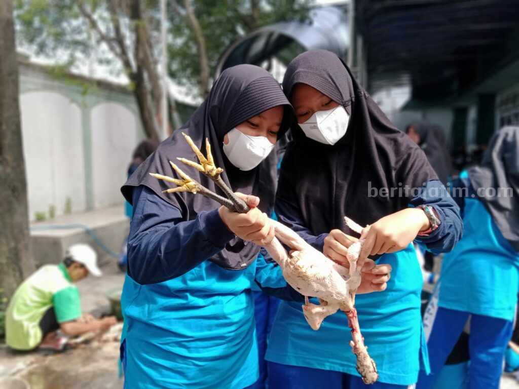 Siswa SMP Al Falah Deltasari Sidoarjo Ujian Praktik Sembelih Ayam
