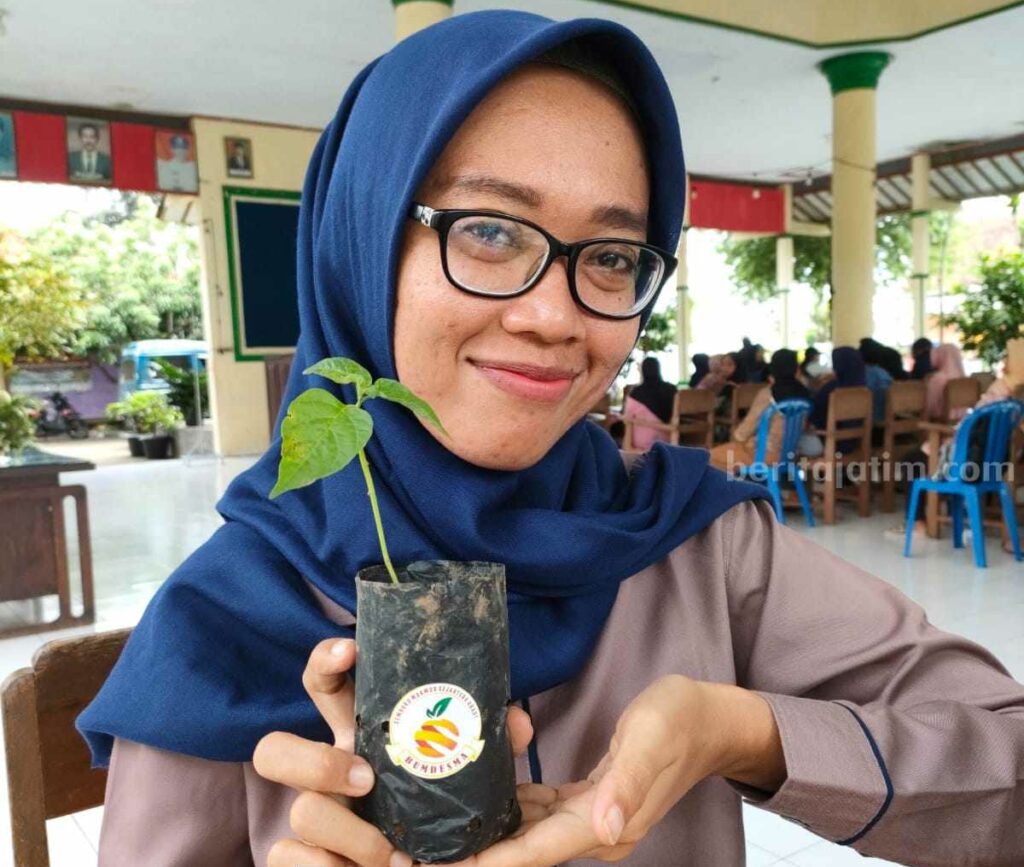 Sebanyak 86 ribu orang anggota badan usaha milik desa bersama (bumdesma) di Kabupaten Jember, Jawa Timur, diminta membantu pengendalian inflasi dengan cara menanam cabai bersama-sama.