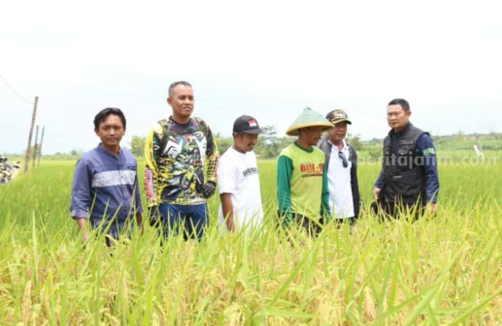 Bupati Lamongan