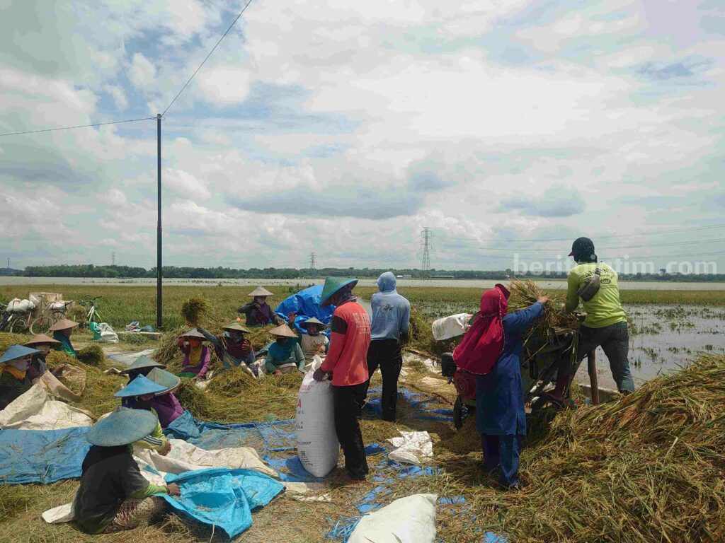 bengawan solo banjir