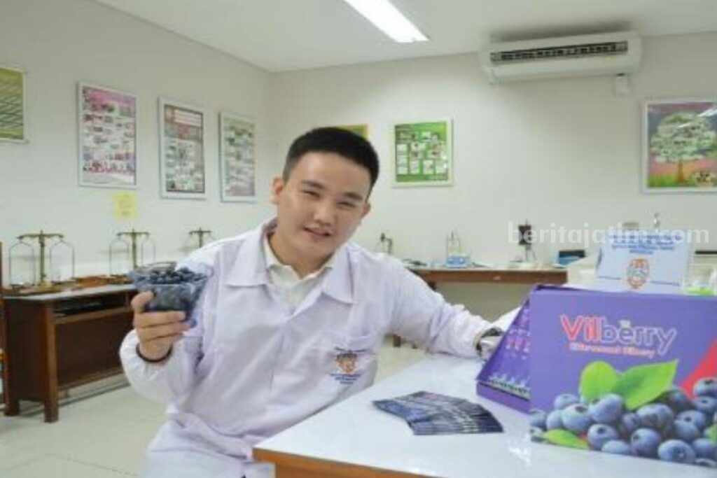 Mahasiswa Widya Mandala Surabaya Olah Bilberry Jadi Minuman Serbuk, Ini Khasiatnya Cornelius Steven Kashawan