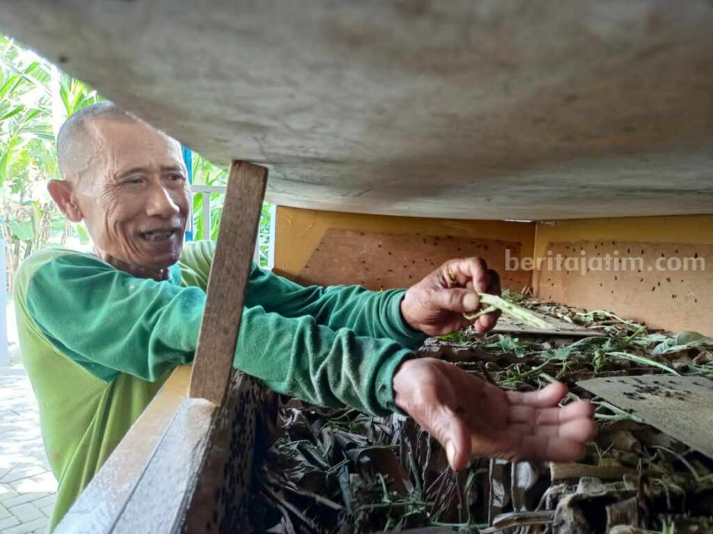 Warga Lansia Mojokerto Ini Raup Cuan Besar dari Budidaya Jangkrik