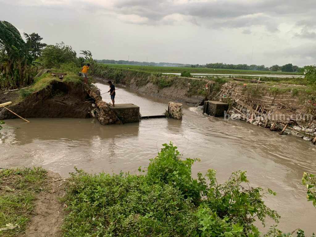 Tanggul Jebol Mojokerto