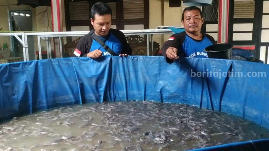 foto beritajatim