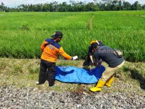 Korban tertabrak KA di di Dusun Tamanayu, Desa Jatirejoyoso, Kecamatan Kepanjen, Kabupaten Malang, Selasa (21/2/2023) siang.