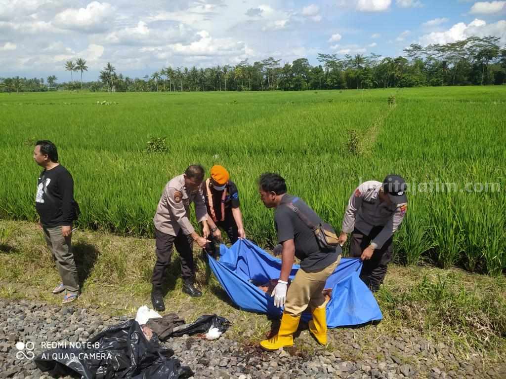 Tertabrak KA dan Terseret 200 Meter, Tubuh Pria Tanpa Identitas Hancur Korban masih belum diketahui identitasnya alias Mr X, Selasa (21/2/2023) siang.