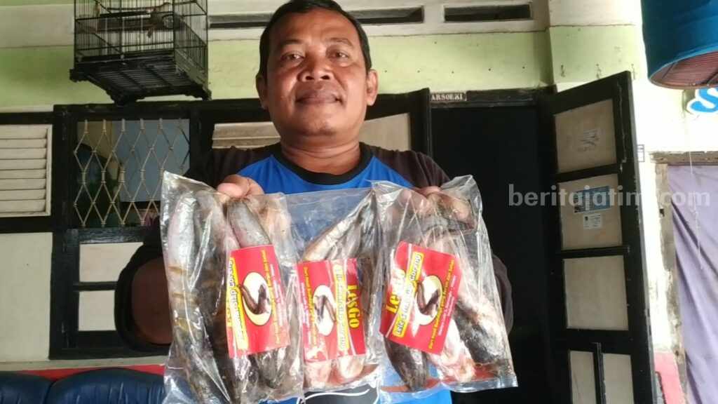 Pokdakan Wahyu Lele 2 Kota Mojokerto Tak Hanya Jual Lele Segar Magersari Mojokerto