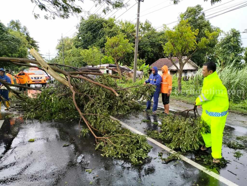 Petugas gabungan melakukan evakuasi dahan dan ranting yang menutup separuh badan jalan di Jalan Raya Dusun Pacing, Desa Pacing, Kecamatan Bangsal, Kabupaten Mojokerto. [Foto ; ist]