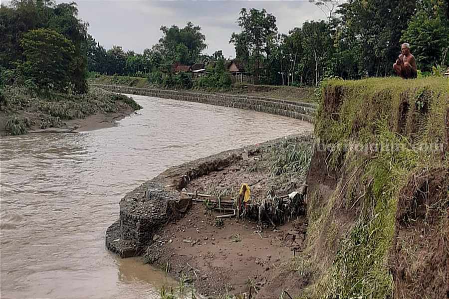 Bronjong sungai