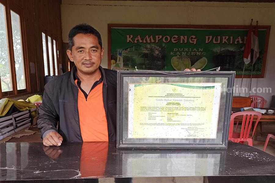 Durian Ngebel