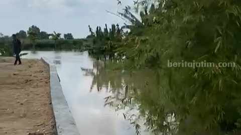 Kondisi Kali Lamong di Kecamatan Dawarblandong, Kabupaten Mojokerto. [Foto : ist]