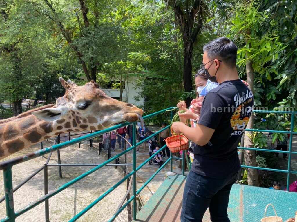 DPRD Surabaya Tolak Night Zoo di KBS Salah seorang pengunjung di KBS