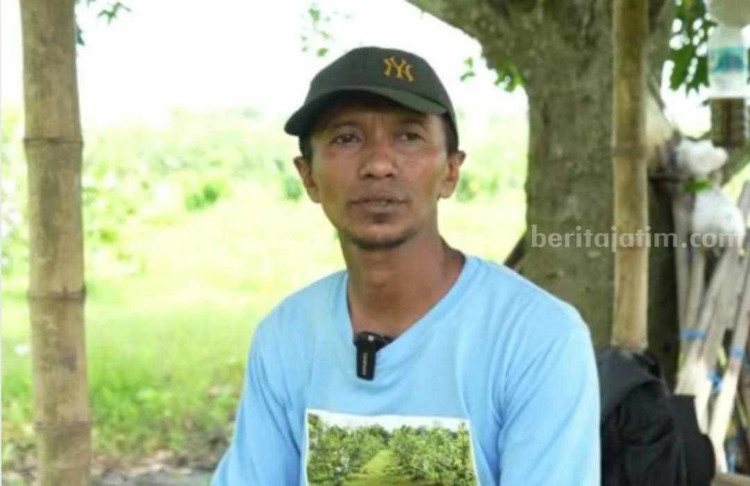 Jambu Kristal