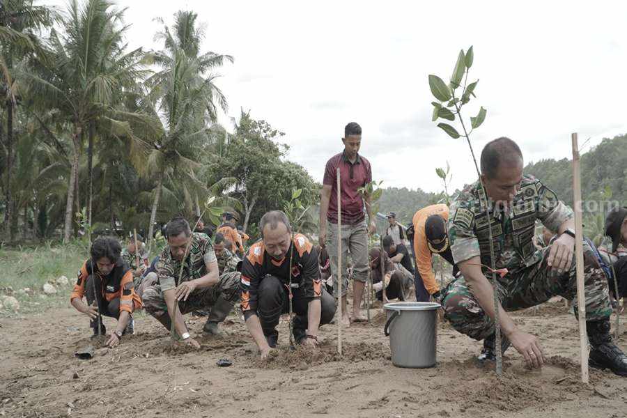 Pantai Soge Pacitan Ditanami Ribuan Pohon Mangrove untuk Cegah Abrasi Foto Beritajatim