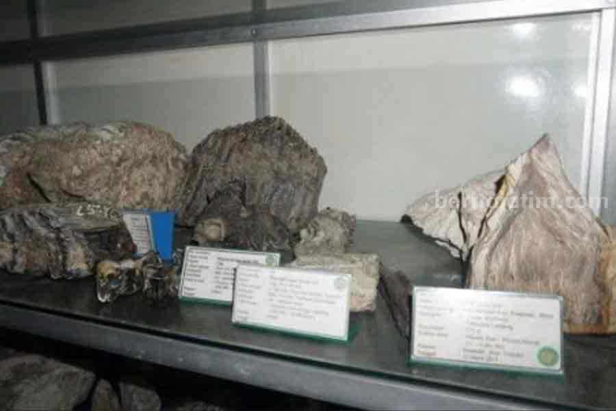 Wisata Sejarah Museum Rajekwesi Bojonegoro: Info Lengkap Lokasi hingga Harga Tiket Salah satu benda bersejarah di Wisata Sejarah Museum Rajekwesi Bojonegoro (IG @gunaidik)
