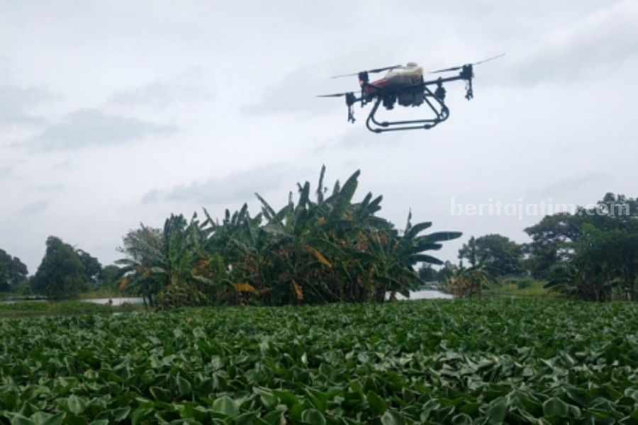 Drone