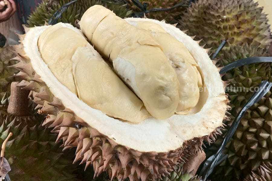 Durian Sumberasri