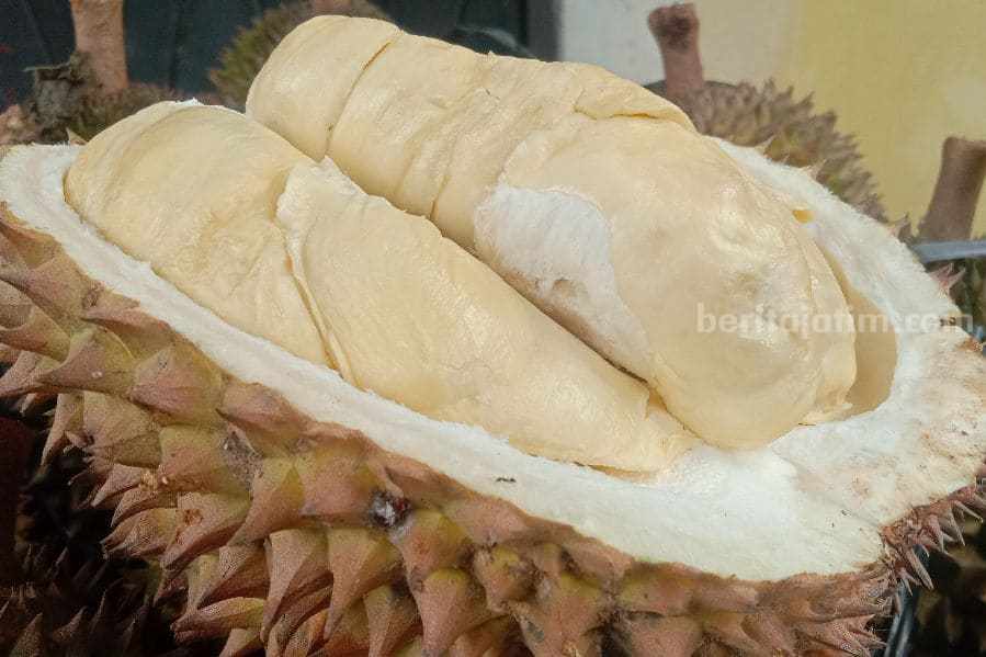 Durian Sumberasri Blitar